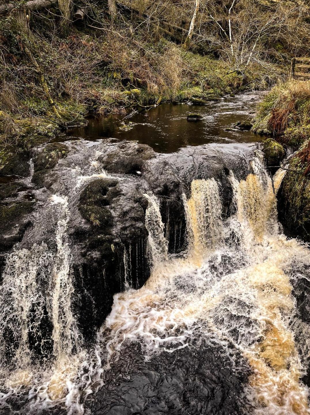 Glenariff Forest Evergreen Lodge Екстериор снимка